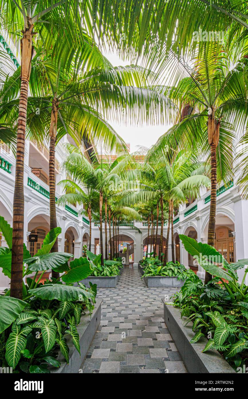 Palmen im Innenhof des Raffles Hotel, Singapur Stockfoto