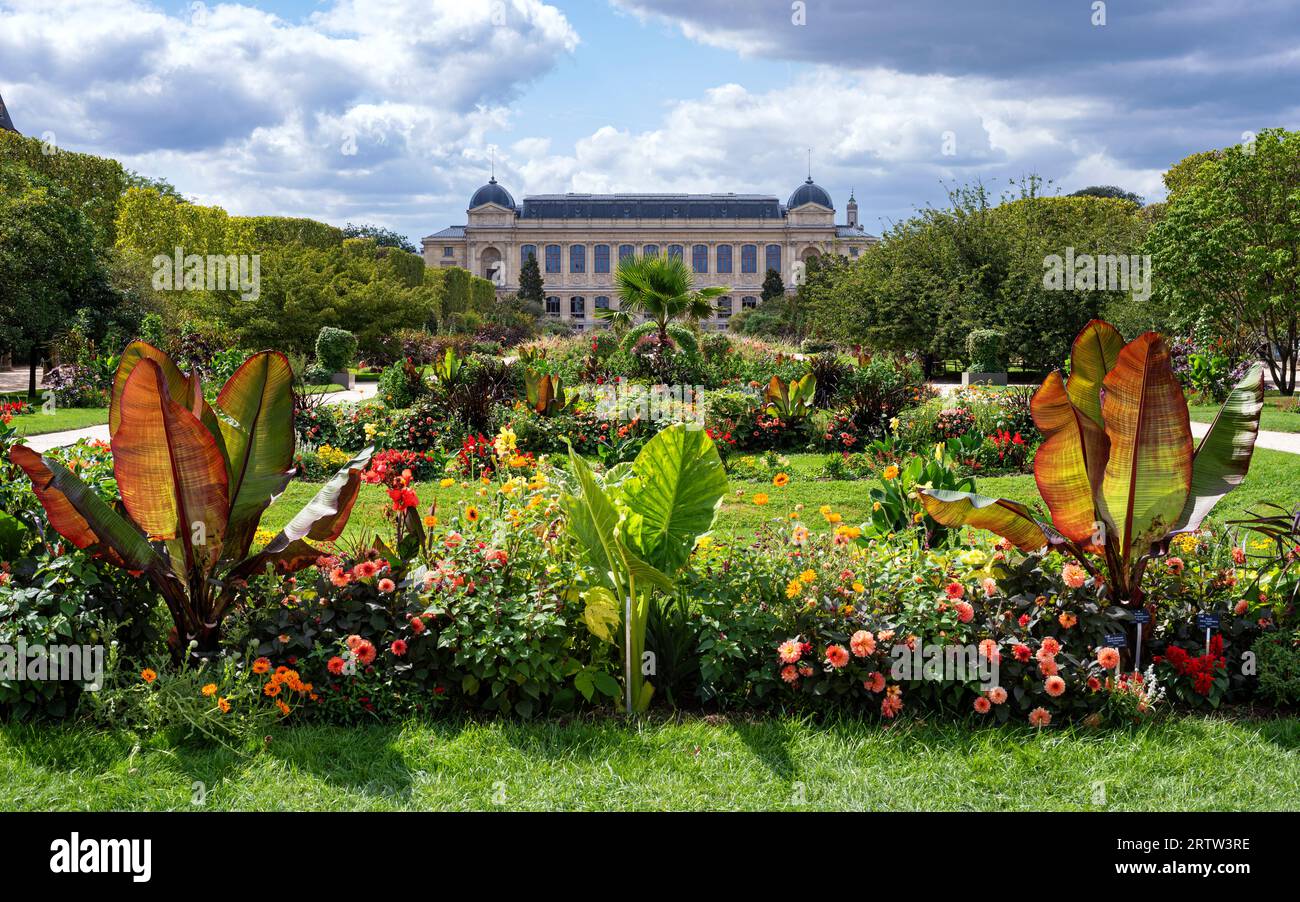 Galerie der evolution Fotos und Bildmaterial in hoher Auflösung Alamy