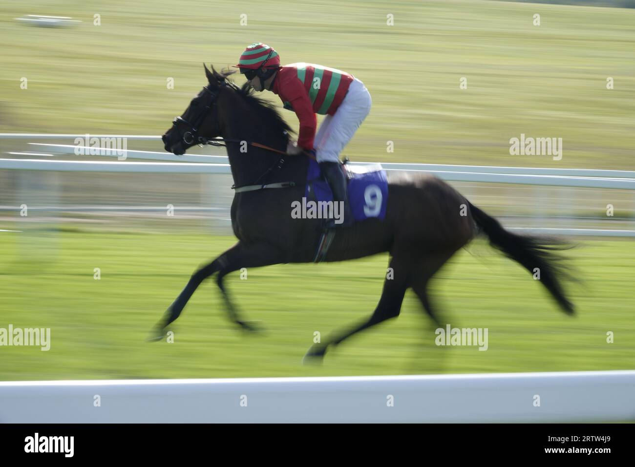 Epsom, Surrey, Großbritannien. September 2023. Spätsommerrennen auf Epsom Downs. OPS: Meleri mit Robert Dunne auf Platz 7 in der Everybody's Booking Fit Show 2025 Jump Jockeys Derby Handicap (Rennen für Professional Jump Jockeys) (Klasse 4) Credit: Motofoto/Alamy Live News Stockfoto