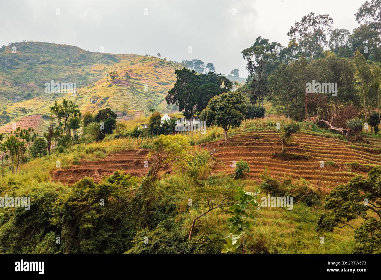 Blick auf Morningside - eine verlassene deutsche historische Siedlung im Uluguru-Gebirge, Morogoro Town, Tansania Stockfoto