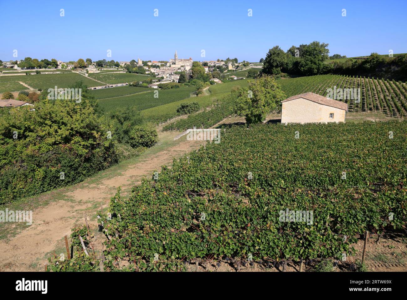 Saint-Emilion in seinen Reben und seinen Rotweinberg. Saint-Emilion zählt zu den schönsten Dörfern Frankreichs. Weinbau, Wein und t Stockfoto