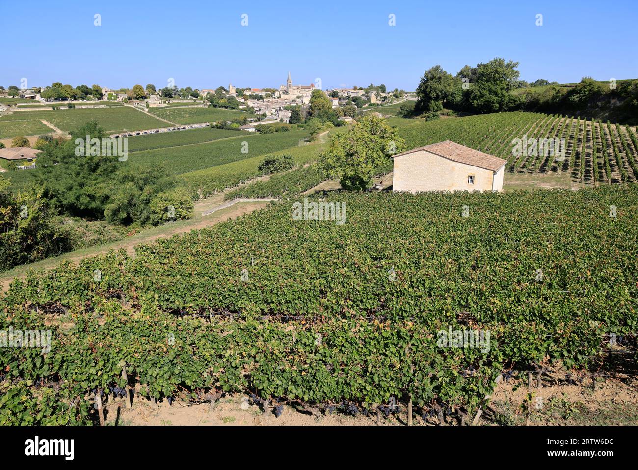 Saint-Emilion in seinen Reben und seinen Rotweinberg. Saint-Emilion zählt zu den schönsten Dörfern Frankreichs. Weinbau, Wein und t Stockfoto