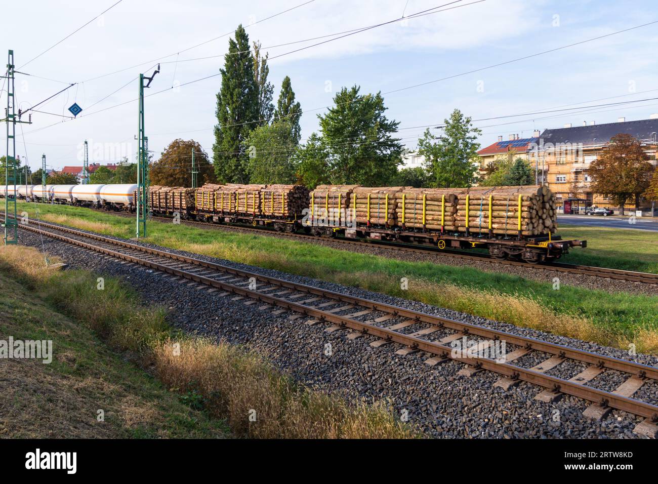 Holztransport mit der Bahn von Ungarn nach Österreich, Sopron, Ungarn Stockfoto