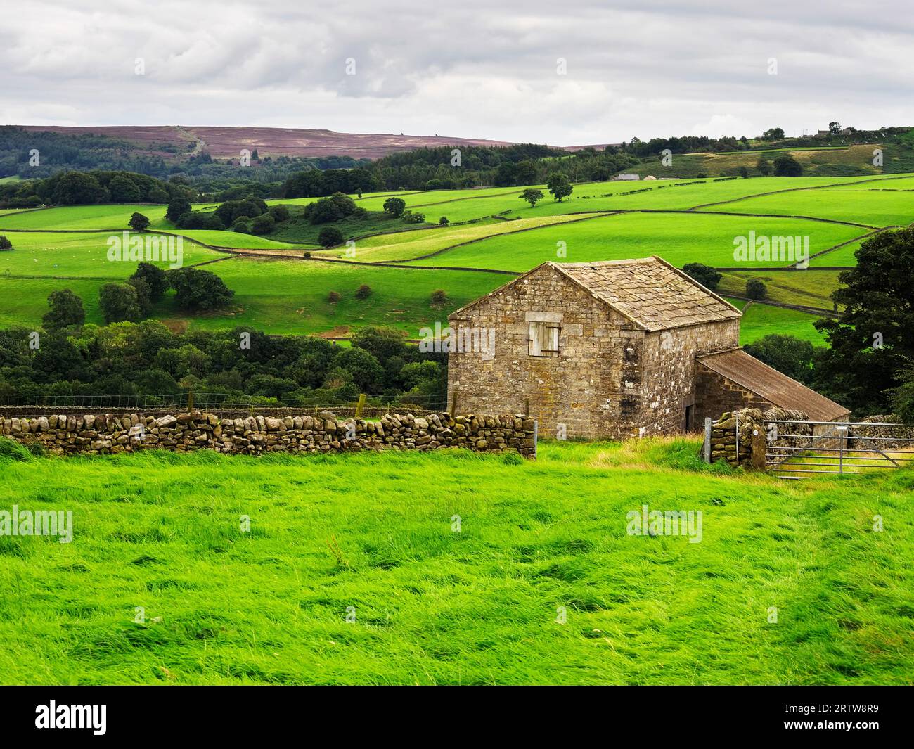 Feldscheune mit Blick auf das Tal in der Nähe von Heathfield Nidderdale AONB North Yorkshire England Stockfoto