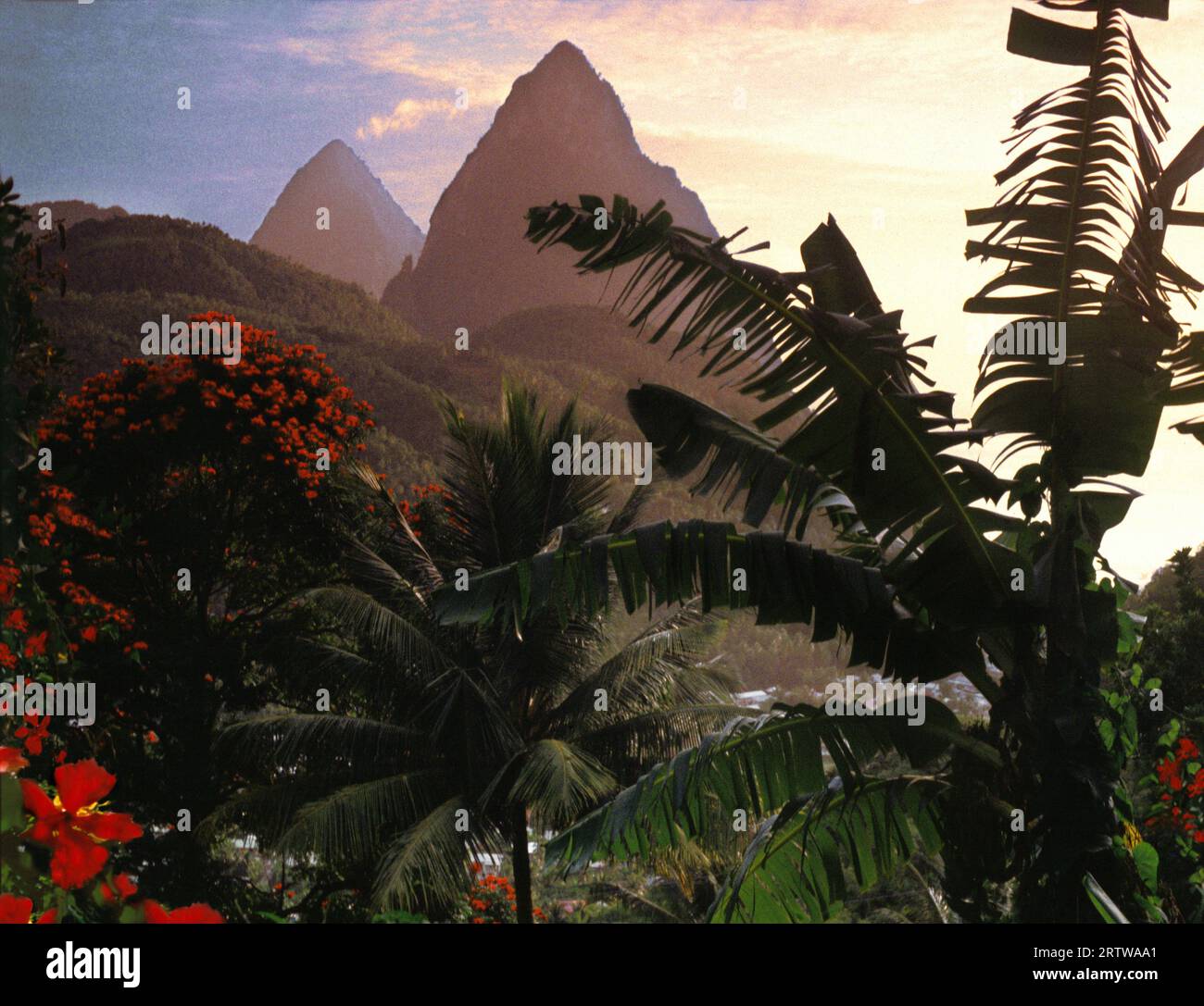 Pitons, Saint Lucia Stockfoto