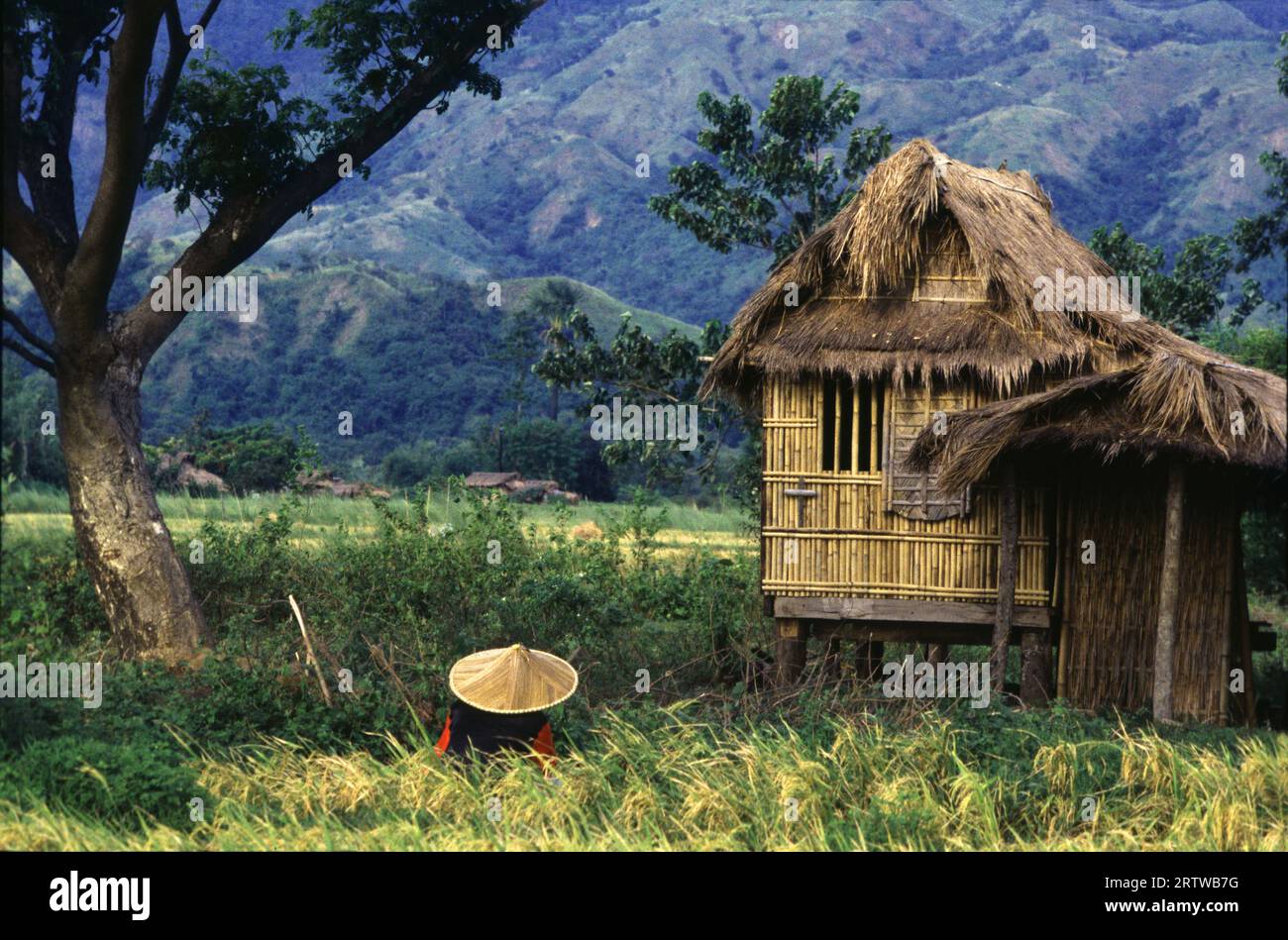 Ricefarmer und sein Zuhause Stockfoto