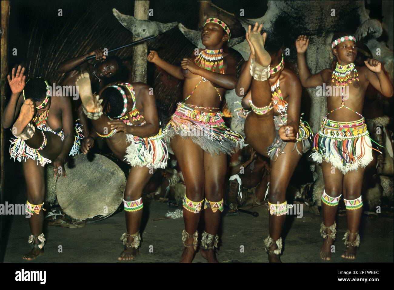 Zulu-Tänzer Stockfoto