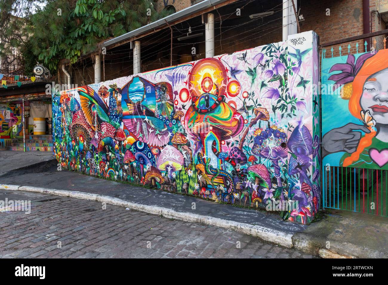 Wunderschöner Blick auf Graffiti Street Art in Beco do Batman Stockfoto