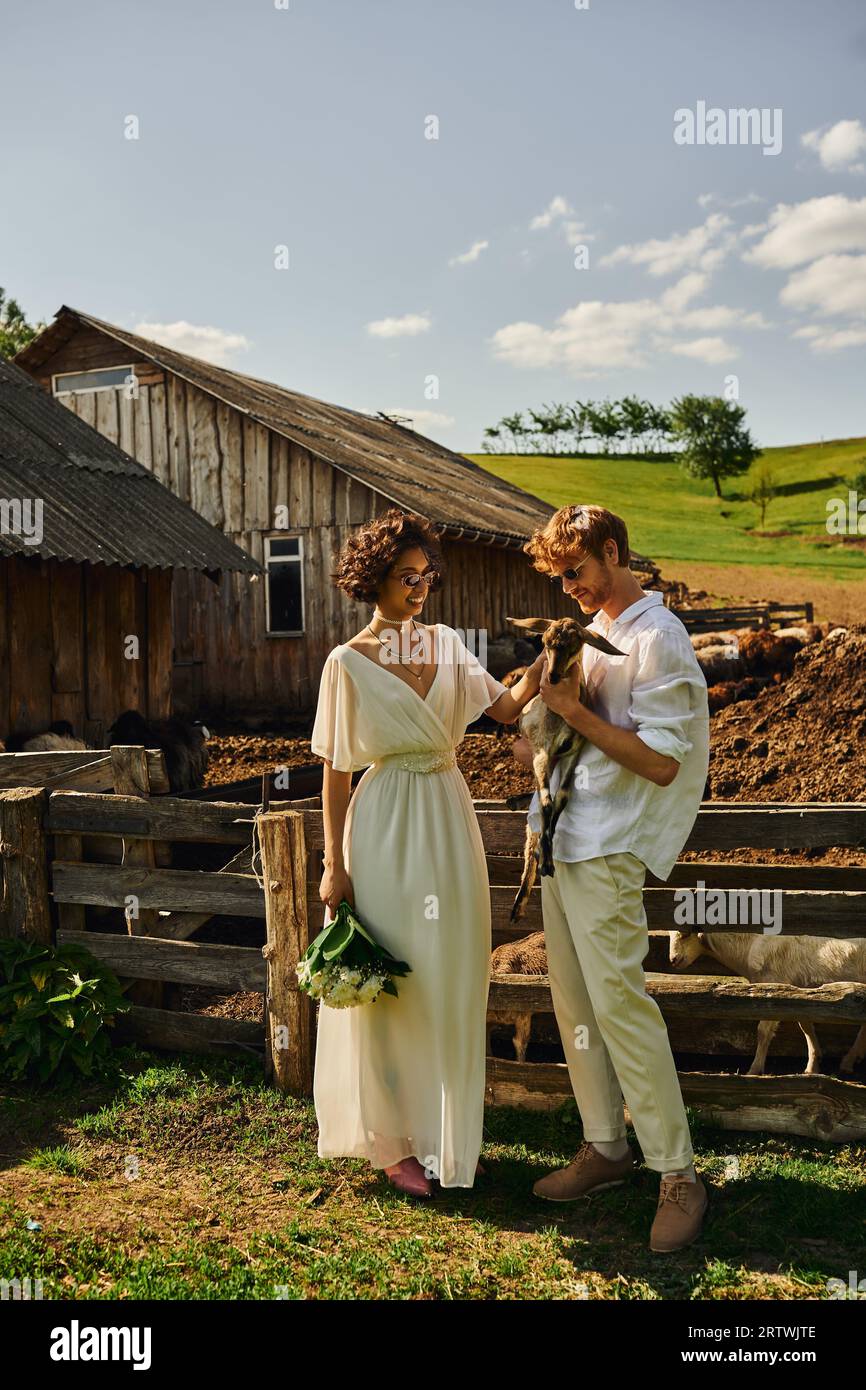 Glückliches multiethnisches Paar im Hochzeitskleid und in der Sonnenbrille, das süße Ziegenbabys kuschelt, auf dem Land Stockfoto