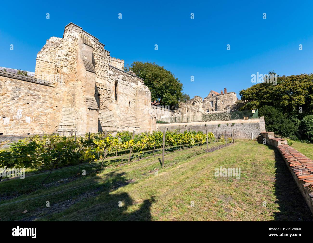 Blick vom mittelalterlichen Bischofspalast aus Vineyard, Lincoln City, Lincolnshire, England, Großbritannien Stockfoto