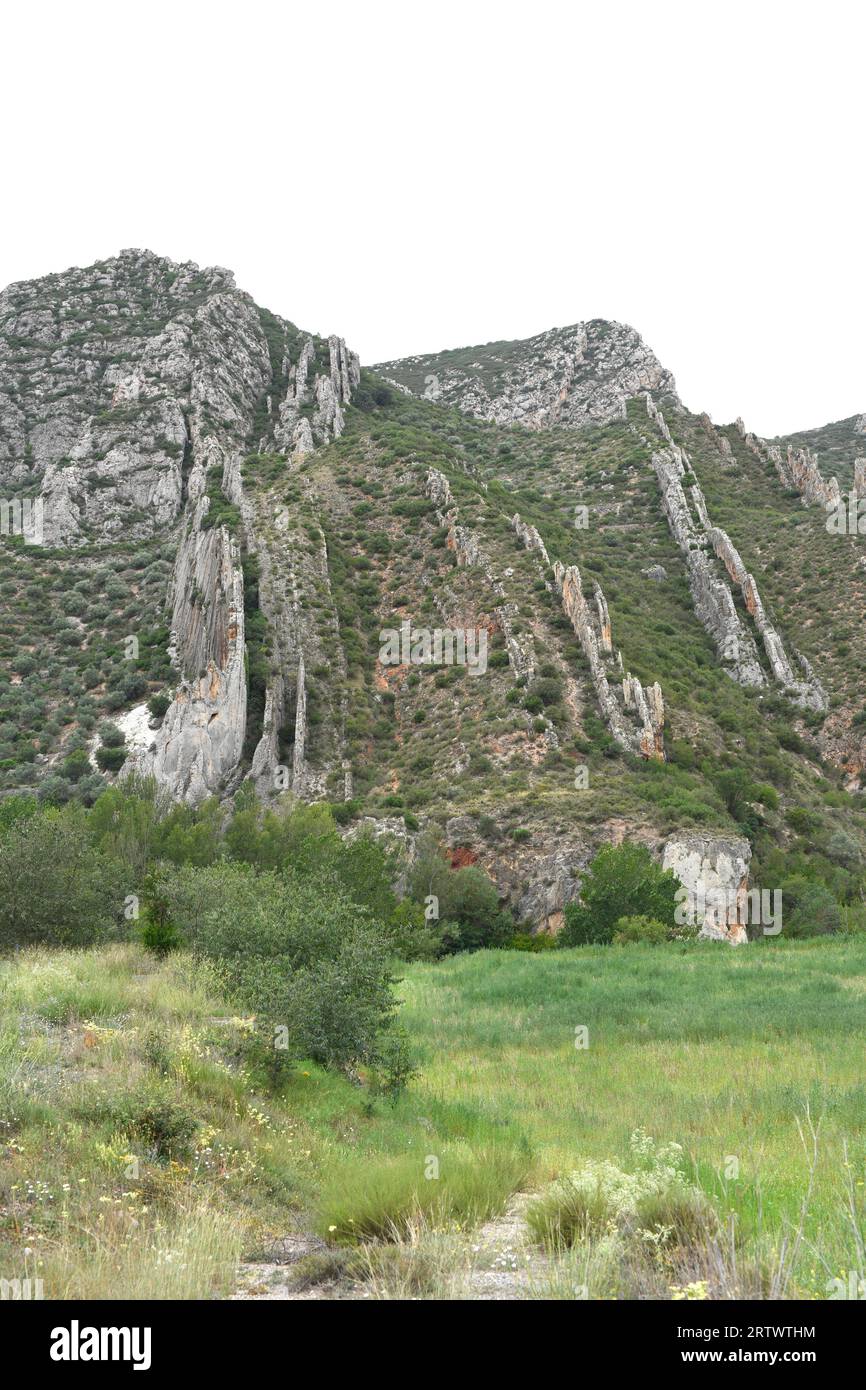 Falten mit vertikalen Schichten im Montsec Mountain Range. Camarasa, Lleida, Katalonien, Spanien. Stockfoto