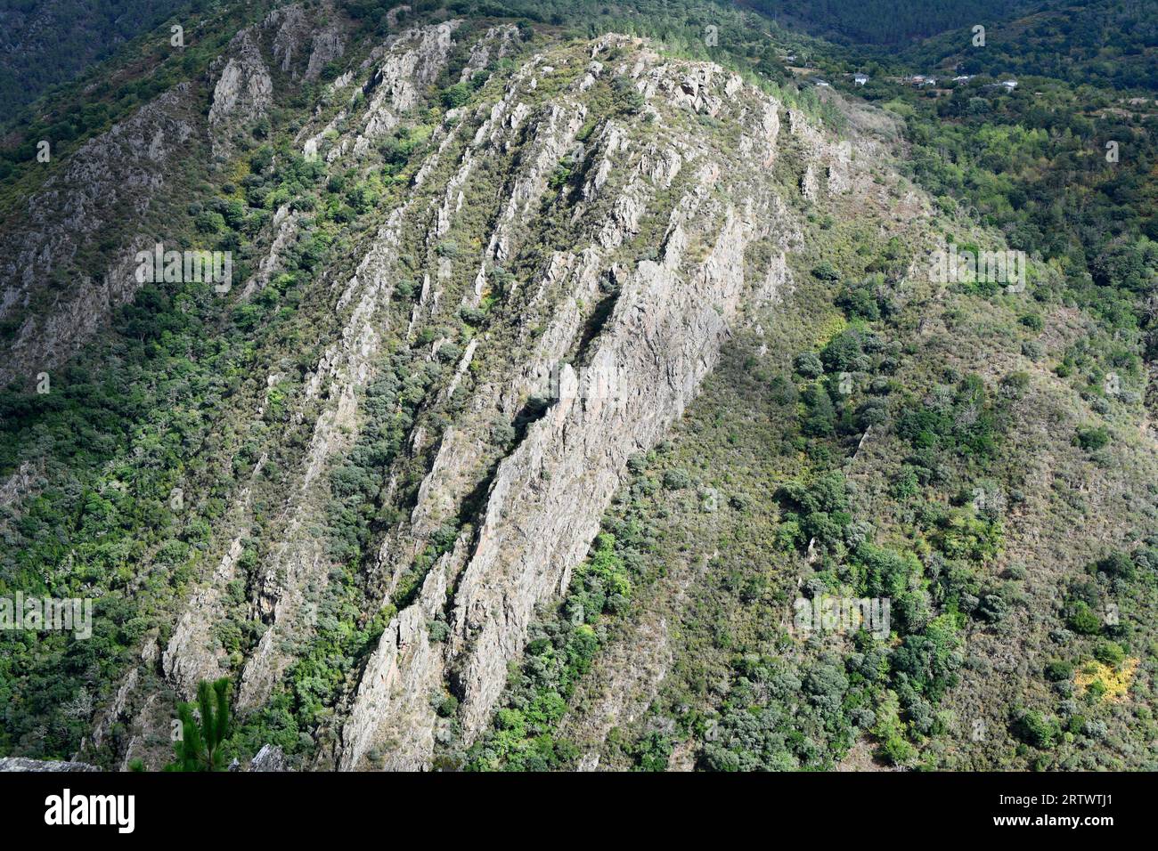 Falte mit vertikalen Schichten in Ribeira Sacra, Lugo und Ourense Grenze, Galicien, Spanien. Stockfoto