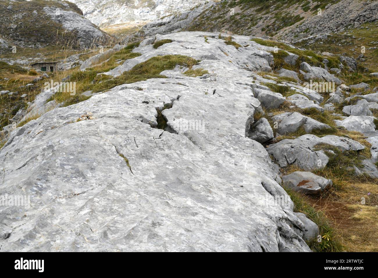 Drumlin glazialen Ursprungs bildete sich auf Kalkstein. Dieses Foto wurde im Nationalpark Picos de Europa, Fuente de, Cantabria, Spanien aufgenommen. Stockfoto