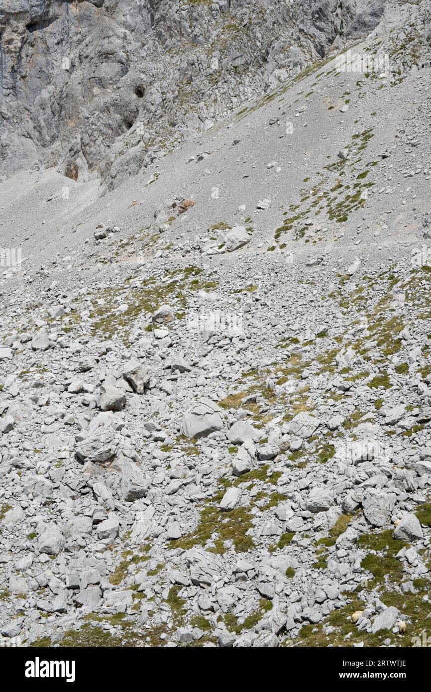 Muschelförmige Erosionsschelle. Dieses Foto wurde im Nationalpark Picos de Europa, Fuente de, Cantabria, Spanien aufgenommen. Stockfoto