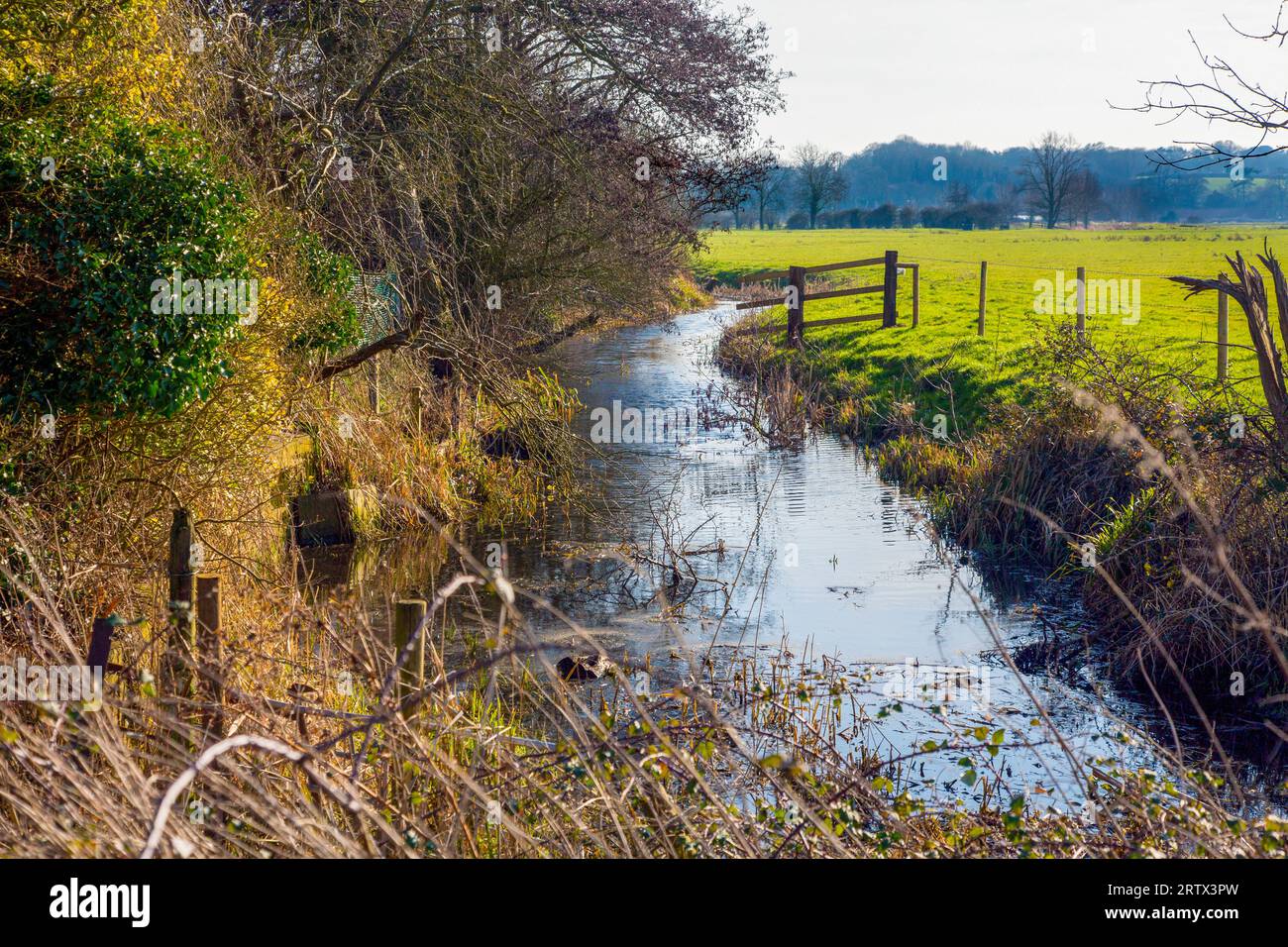 Fluß Waveney Stockfoto