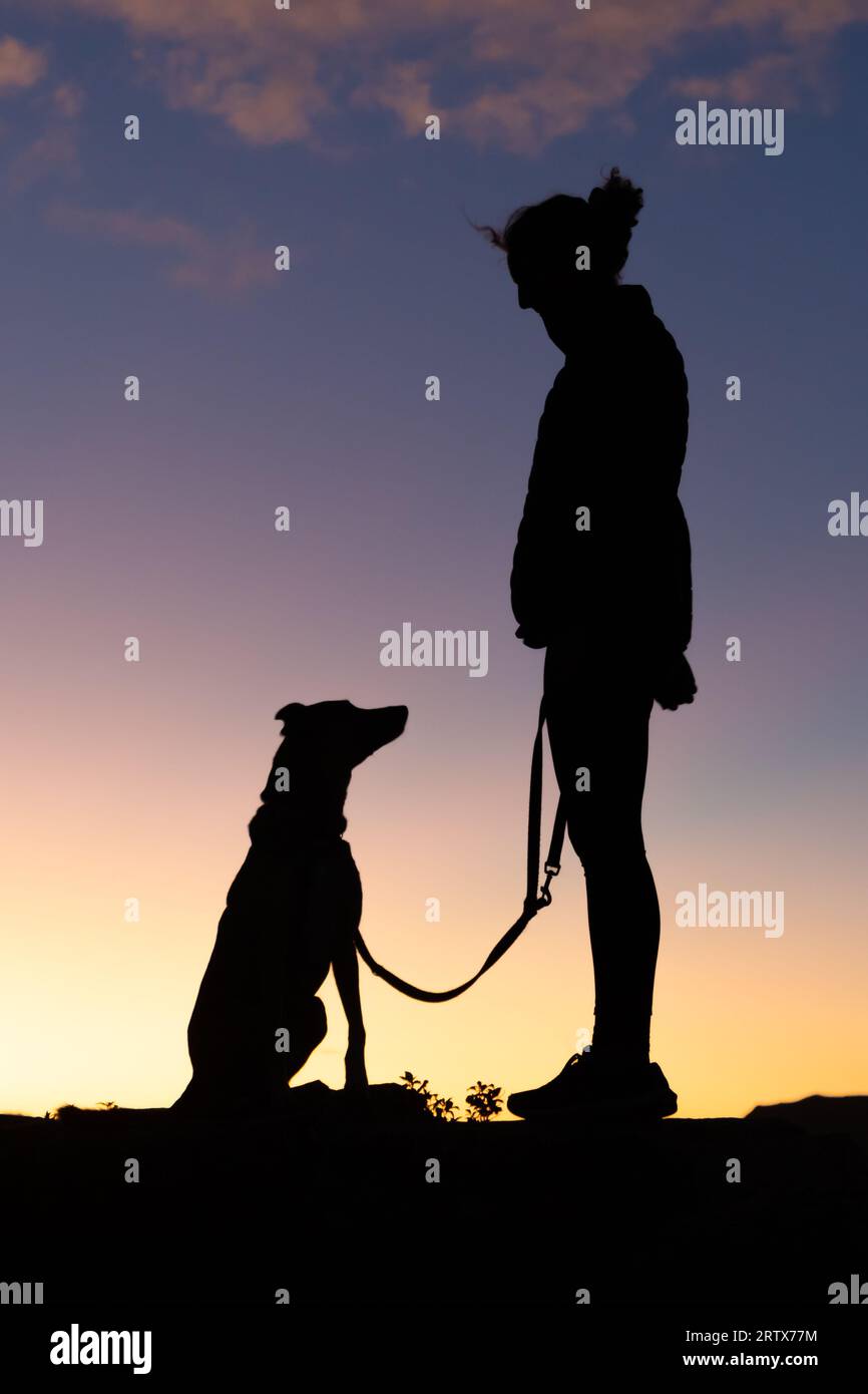 Junge Frau und ihr Hund auf einer Wanderung bei Sonnenaufgang in Silhouette Stockfoto