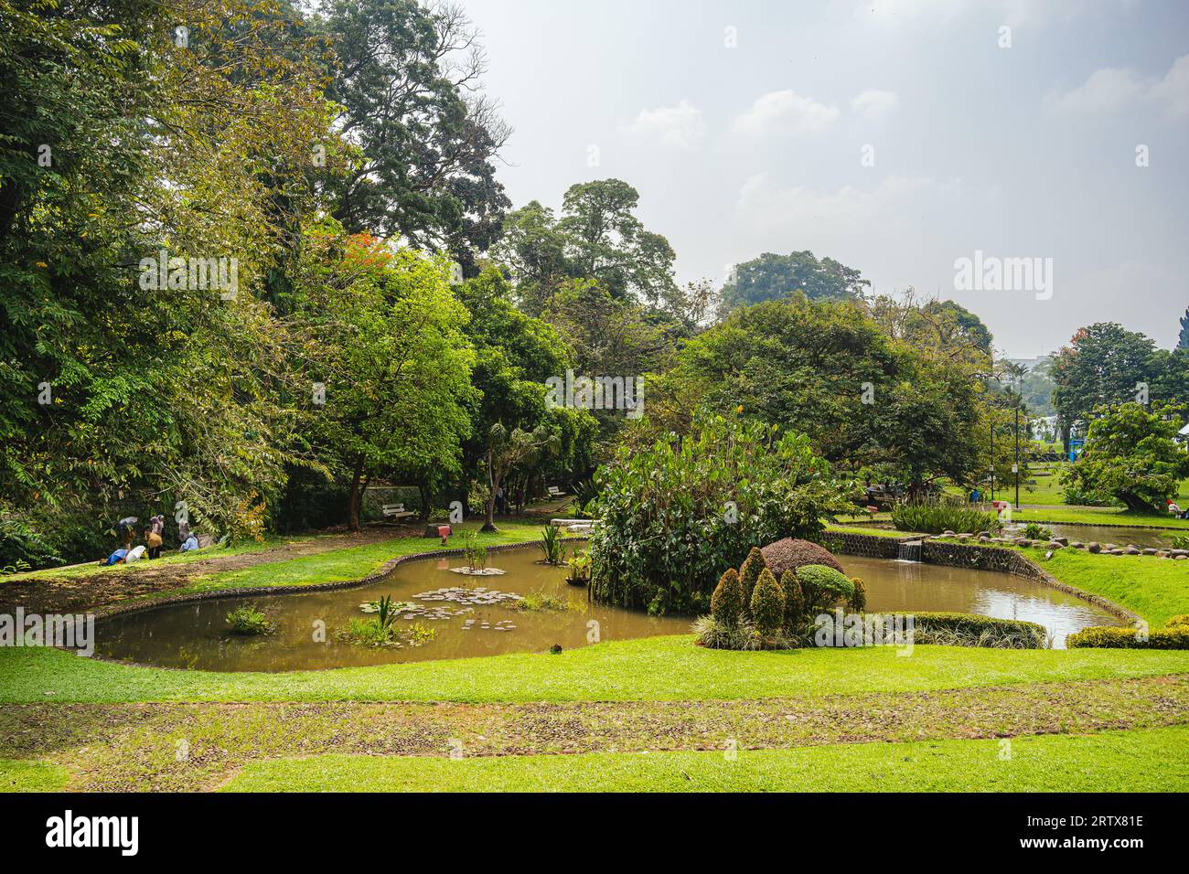 Bogor Botanical Gardens, Indonesien Stockfoto