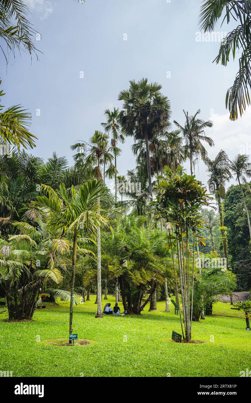 Bogor Botanical Gardens, Indonesien Stockfoto