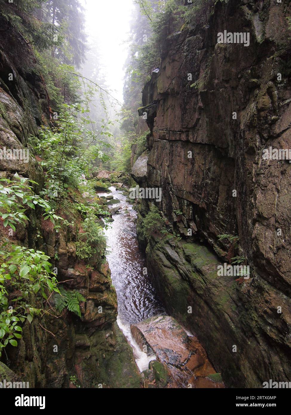 Kamieńczyk Wasserfall im Nationalpark Karkonosze (Karkonosze, Sudetengebirge, Woiwodschaft Niederschlesien, Republik Polen) Stockfoto