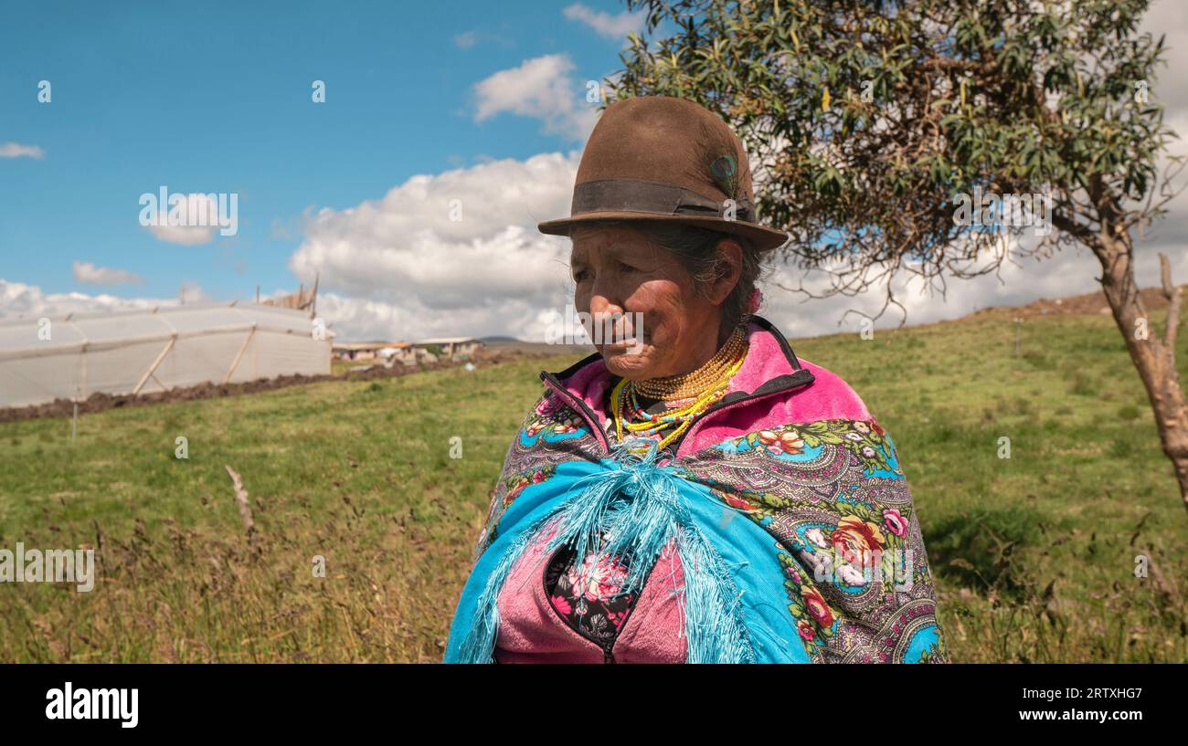 Cangahua, Cayambe / Ecuador - 12. September 2023: Porträt einer älteren indigenen Frau aus Cayambe, die tagsüber durch das Feld spaziert Stockfoto
