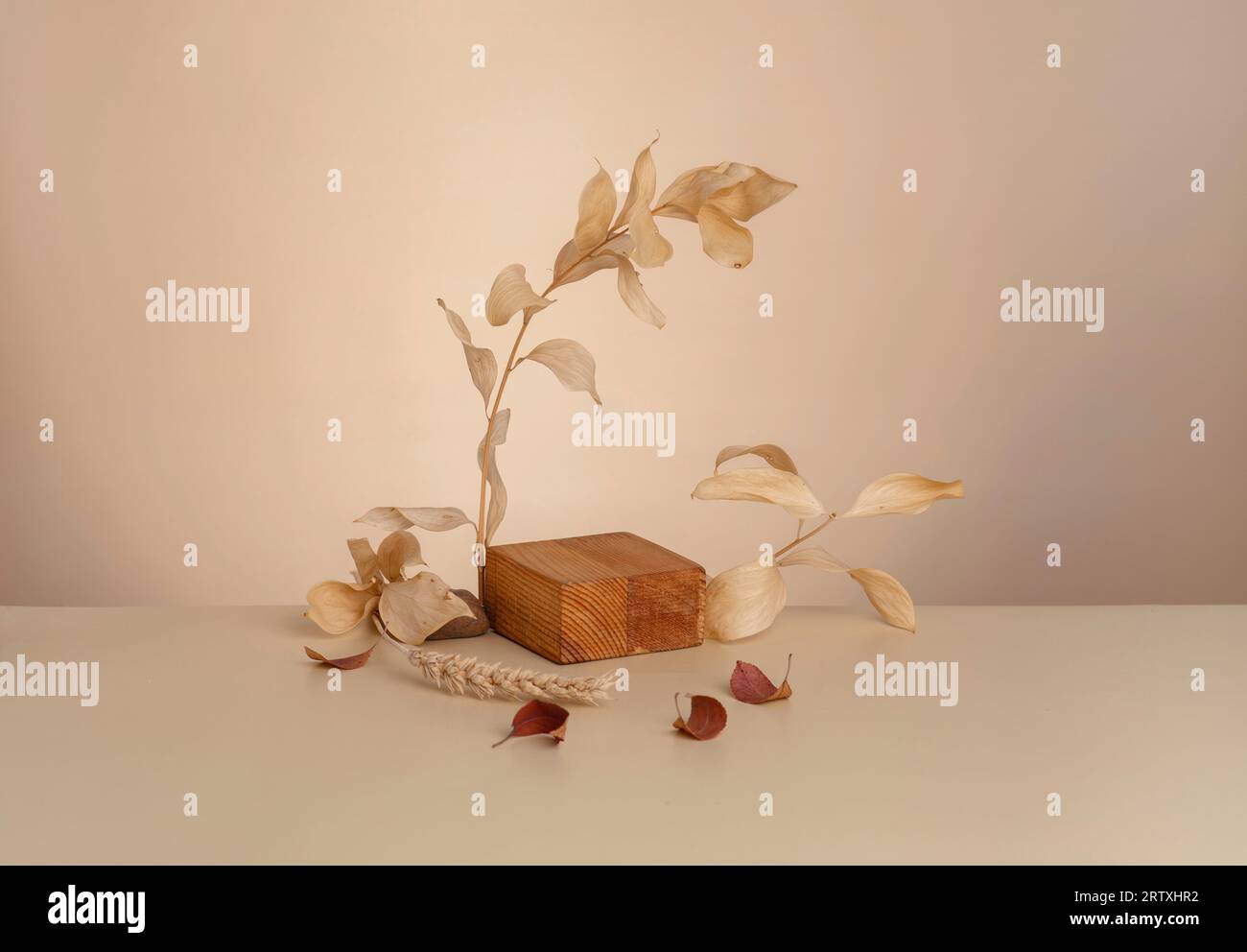 Herbstliche Eleganz: Von der Natur inspirierte Kosmetikvitrine mit Blattakzenten. Beigefarbener Hintergrund für das Branding und die Verpackungspräsentation Stockfoto