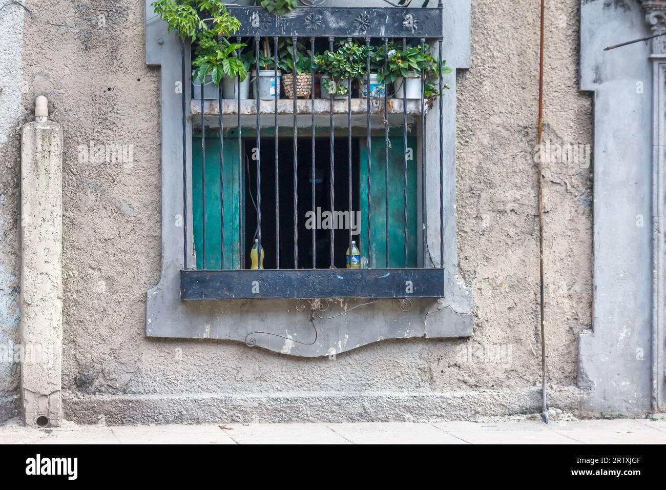 Havanna, Kuba, 2023, Topfpflanzen in einem Hausfenster. Die Fassadenwand ist verwittert und unvollendet. Stockfoto