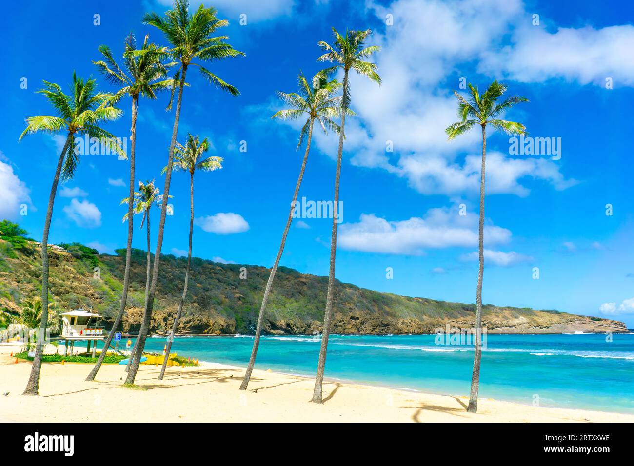 Wunderschöne Hanauma Bay in Oahu, Hawaii, mit Blick auf das Rettungsschwimmhaus, Palmen, Berge, die aus einem vulkanischen Krater entstanden sind, und Surfbretter auf dem Stockfoto
