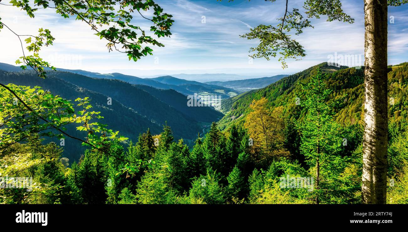 Blick vom Rinken in das Zastler Tal, Feldberg, Schwarzwald, Baden-Württemberg, Deutschland Stockfoto