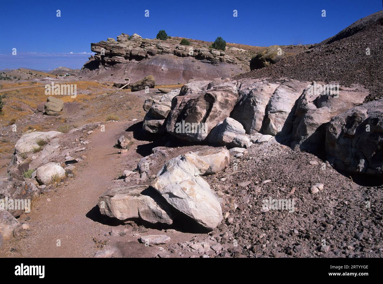 Dinosaur Hill, McInnis Schluchten National Conservation Area, Colorado Stockfoto