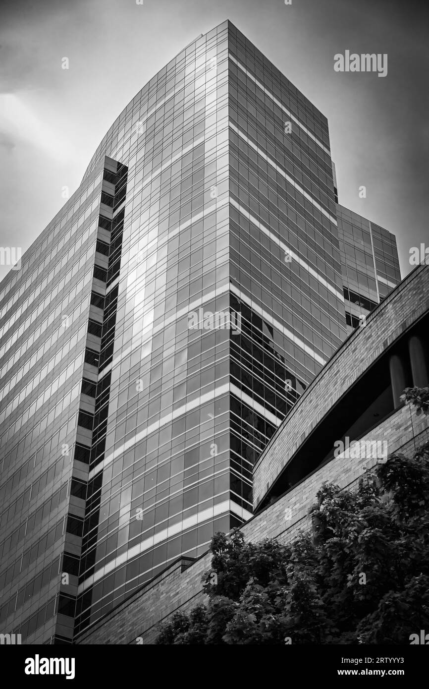 Schwarz-weiß-Blick nach oben auf den Foxconn Tower im Zentrum von Portland, Oregon Stockfoto