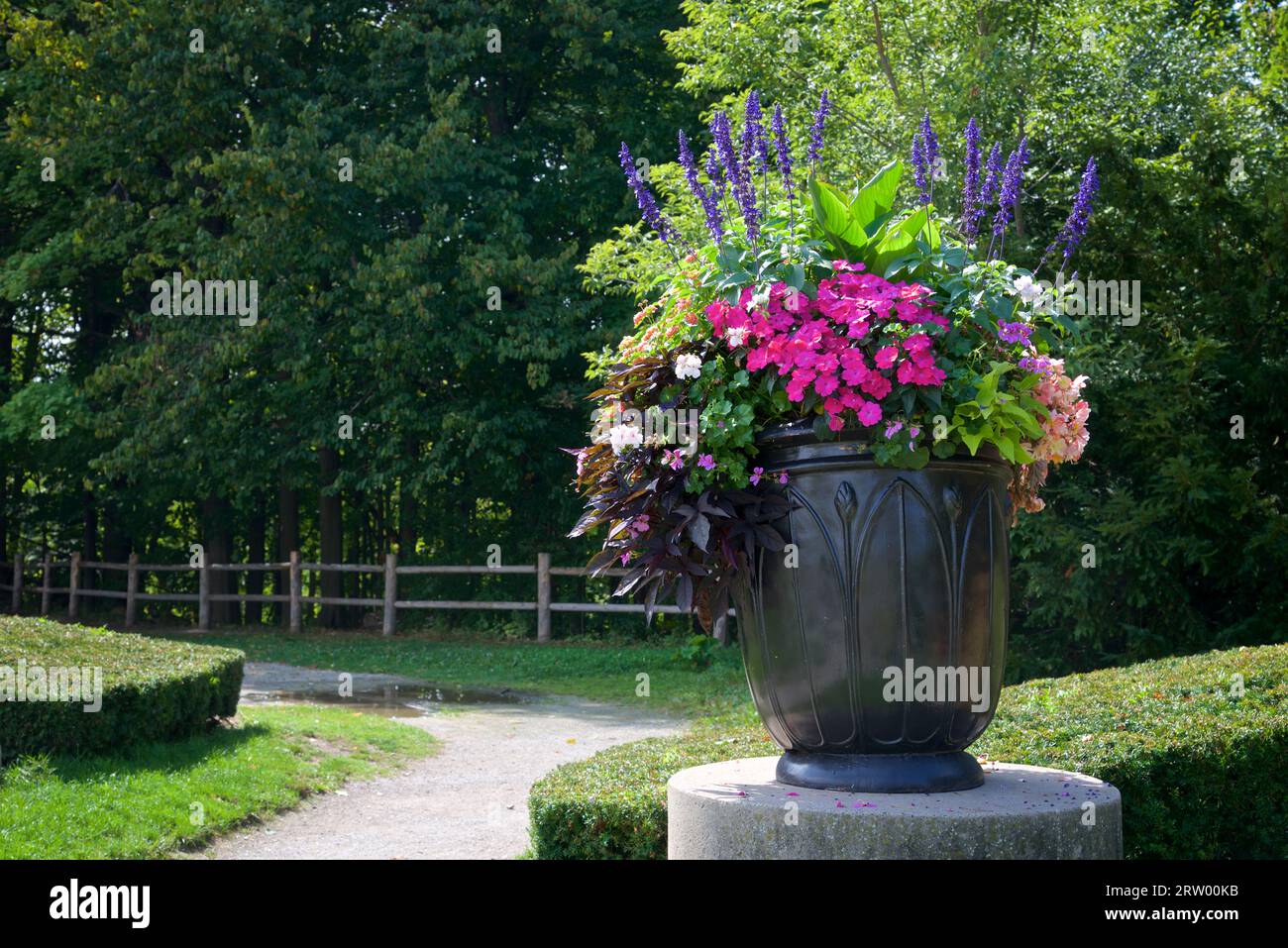 Landschaft des öffentlichen Parks mit Blumen und Pflanzen Stockfoto