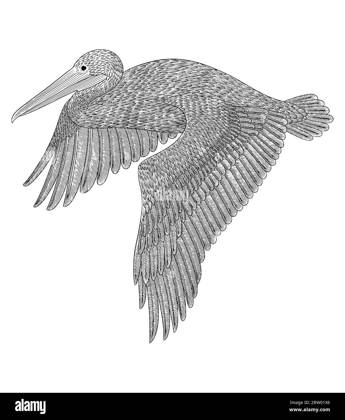Pelikan-Vogel, der am Himmel fliegt, Vintage-Gravur-Stil Vektorilllustation Stock Vektor