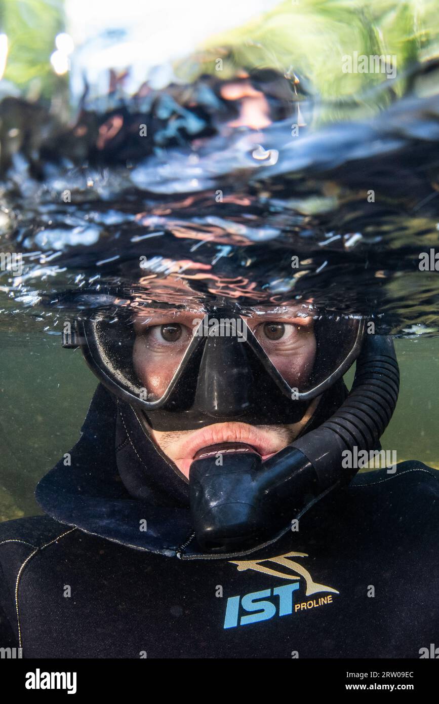 Ein Selfie eines Flussschnorchlers, der einen Bach im Osten der USA schnorchelt. Stockfoto