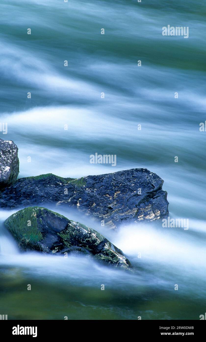 Middle Fork Clearwater Wild and Scenic Scenic River, Clearwater National Forest, Idaho Stockfoto