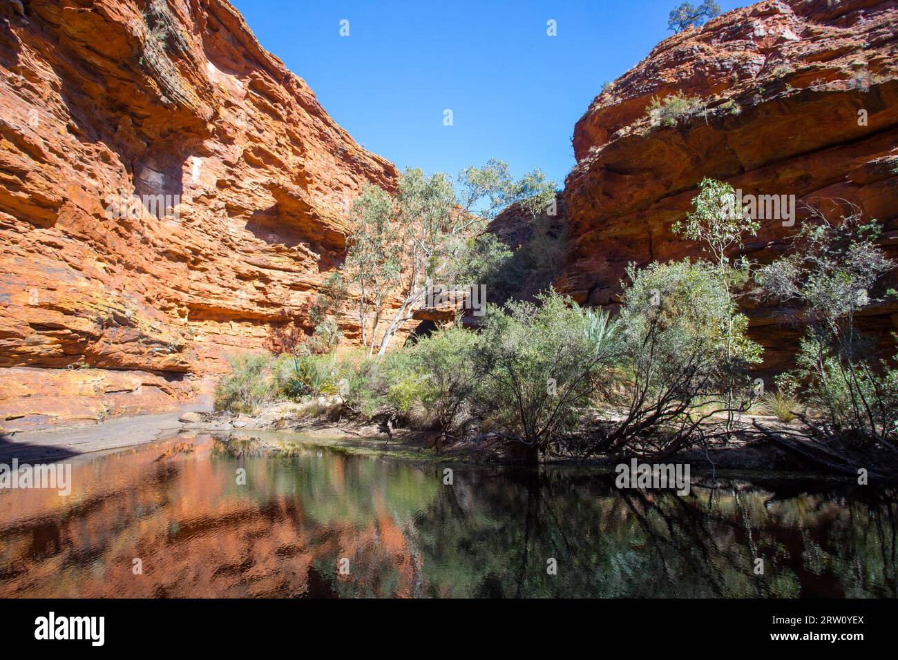 Der Garten Eden am Kings Canyon im Northern Territory, Australien Stockfoto