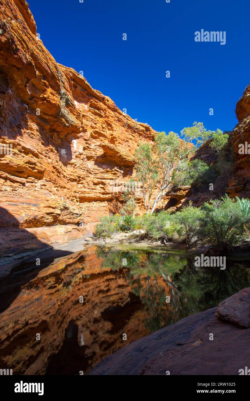 Der Garten Eden am Kings Canyon im Northern Territory, Australien Stockfoto