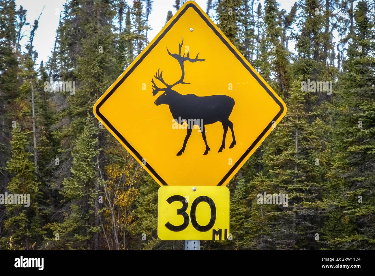 Schild Caribou Crossing, Richardson Highway, Alaska Stockfoto