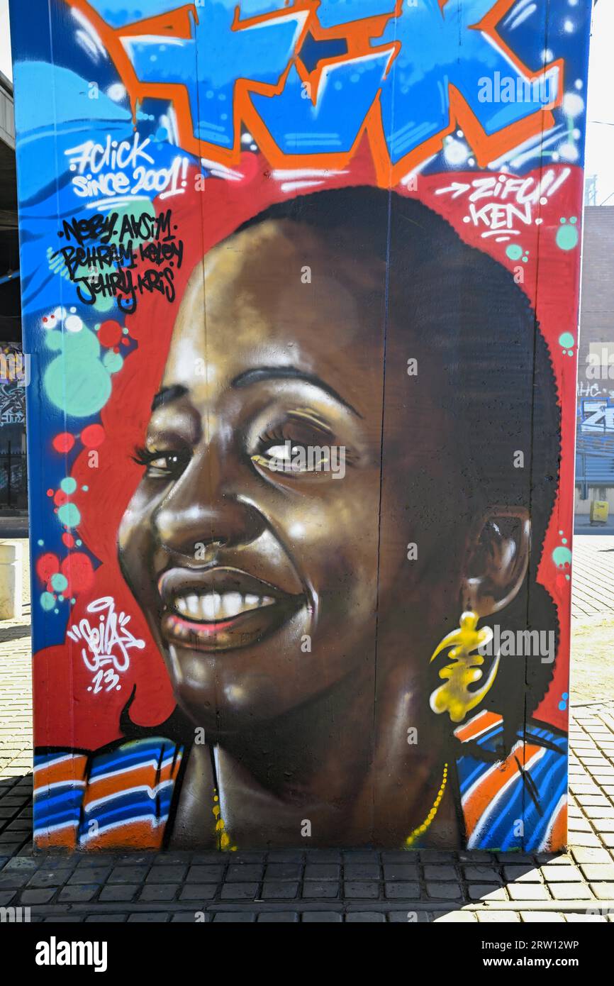 Street Art, Street Art, Grafitto, Johannesburg, Provinz Gauteng, Südafrika Stockfoto