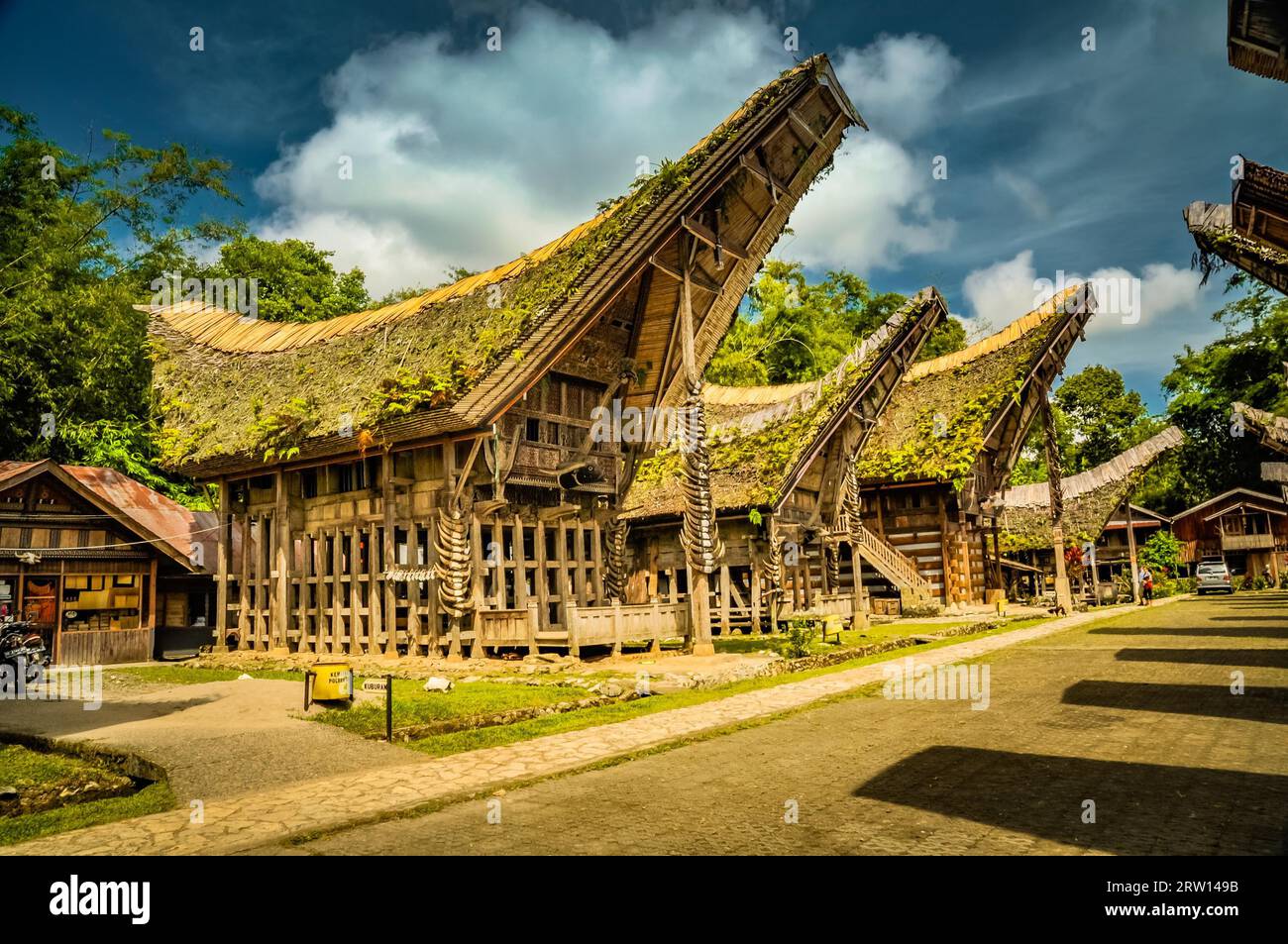 Foto von traditionellen hölzernen Tongkonans mit großem Satteldach, bedeckt mit Pflanzen in Kete Kesu, Toraja Region in Sulawesi, Indonesien Stockfoto