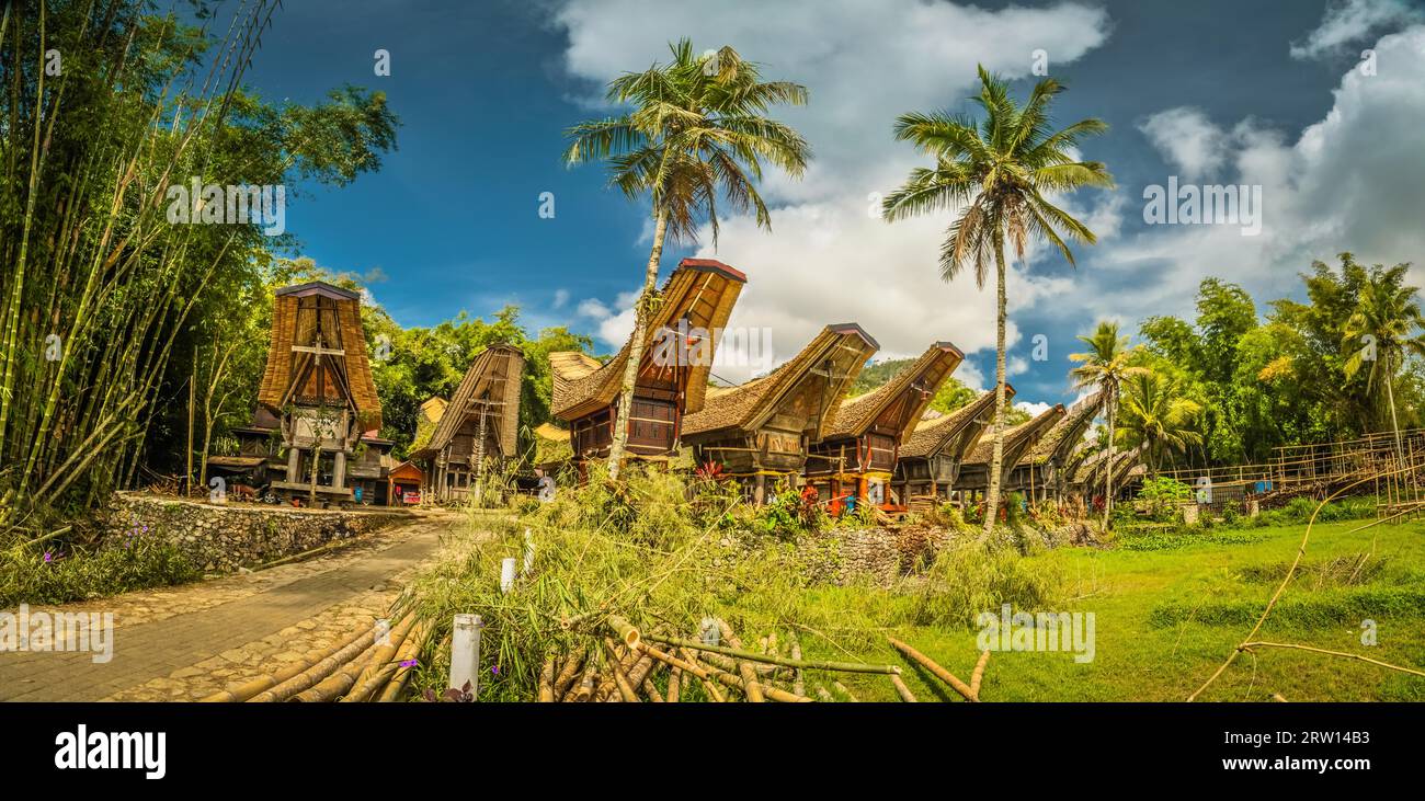 Foto einer Reihe von Tongkonans, umgeben von Palmen und Grün in Kete Kesu, Toraja Region in Sulawesi, Indonesien Stockfoto