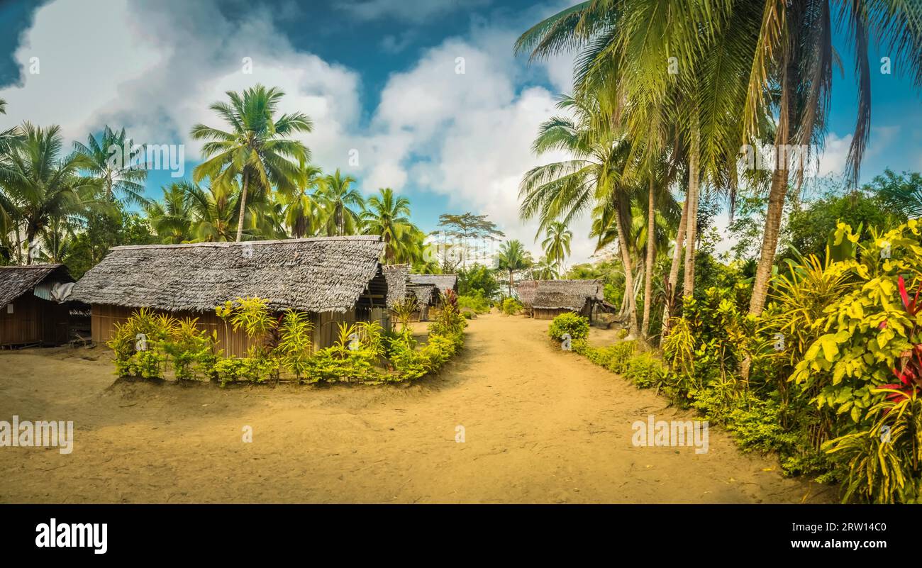 Panoramabild von einfachen Häusern mit Strohdächern und umliegenden Palmen und anderen Pflanzen in will-will, Nuku, Papua-Neuguinea Stockfoto