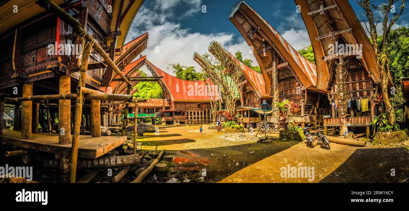 Foto von Tongkonans, traditionellen Häusern der Vorfahren mit Bootsdach im Dorf Toraja tegion, Sulawesi in Indonesien Stockfoto