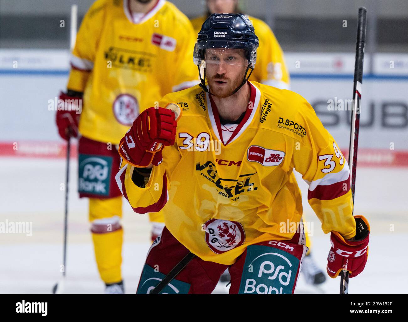 München, Deutschland. September 2023. Eishockey: DEL, EHC Red Bull München - Düsseldorfer EG, Hauptrunde, 1. Spieltag im Olympia-Eissportzentrum. Victor Svensson von Düsseldorf in Aktion. Quelle: Sven Hoppe/dpa/Alamy Live News Stockfoto