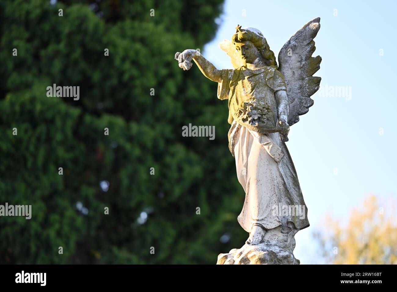 Abgenutzte und mit Moos bedeckte Steinstatue oder Skulptur eines Engels mit einem ausgestreckten Arm, der Blumen tropft Stockfoto