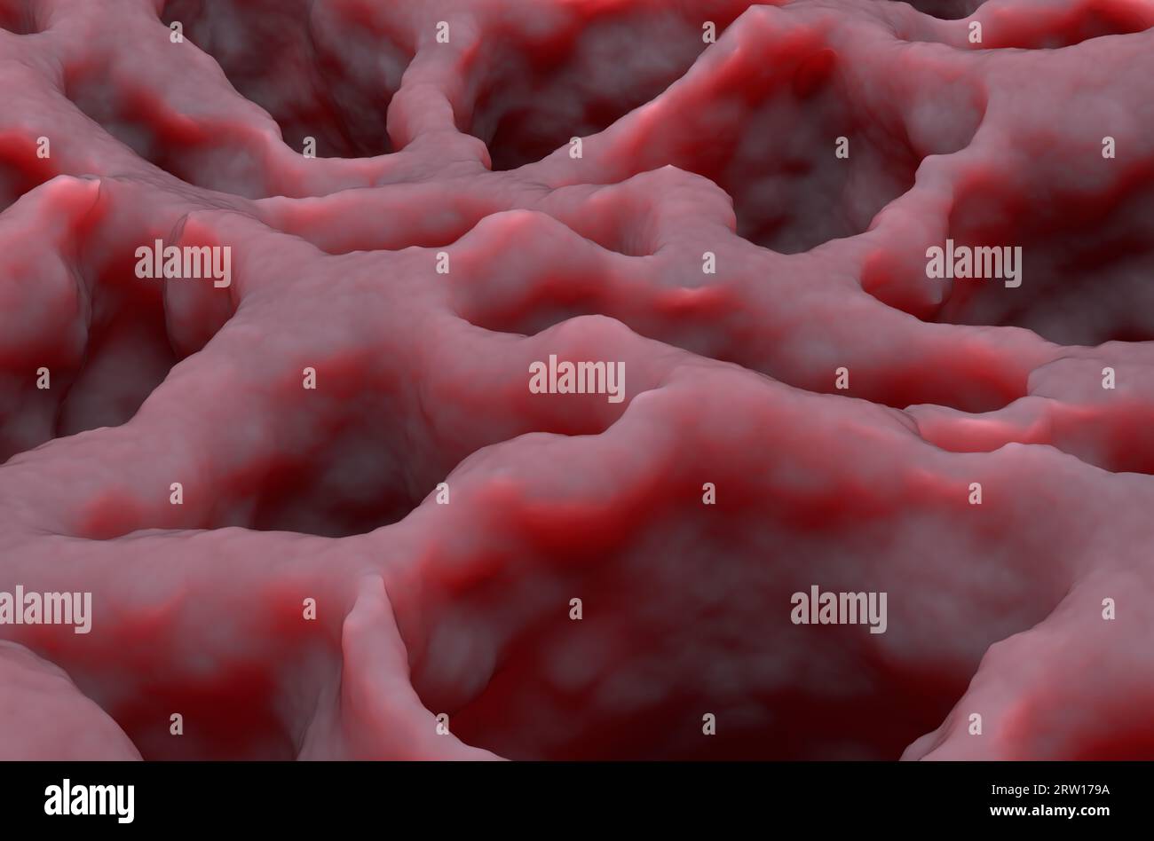 Lungengewebe - Nahaufnahme 3D-Abbildung Stockfoto