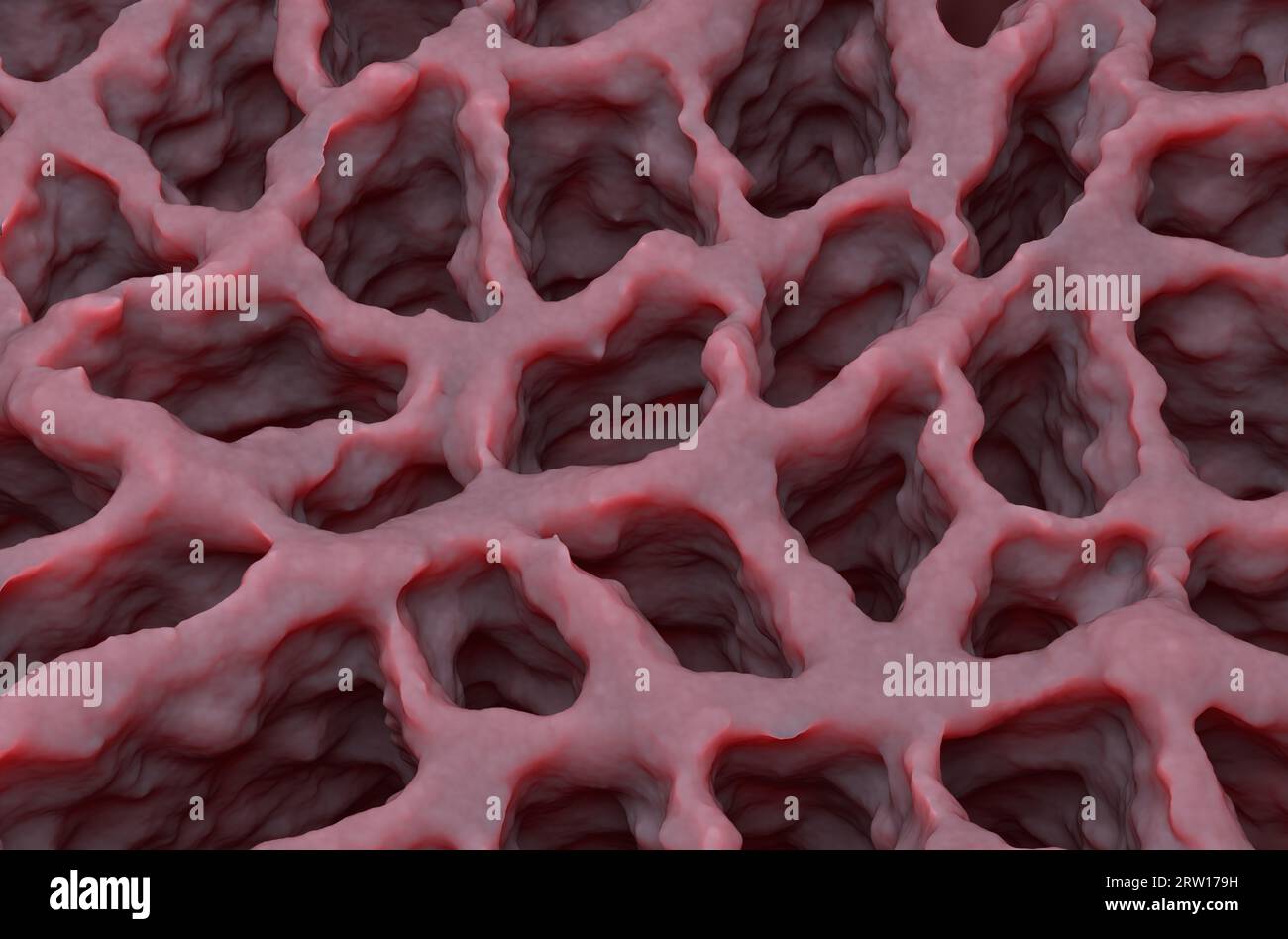 Lungengewebe - Isometrische Ansicht 3D-Illustration Stockfoto