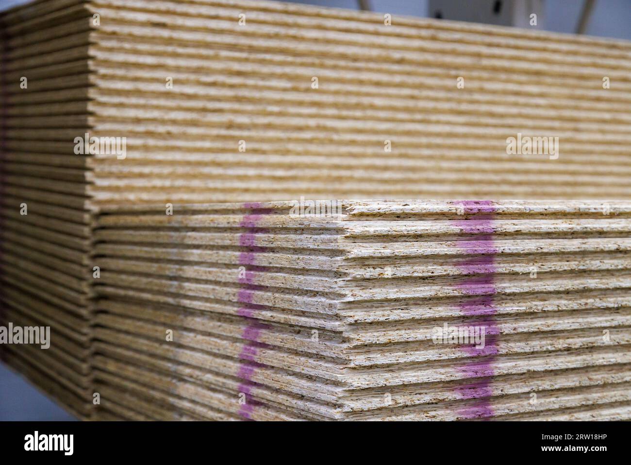 Stapel aus druckgepressten OSB-Sägespänen mit Nut und Feder. Stockfoto