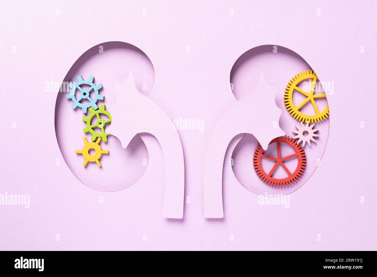 Weltnierentag. Nierenförmiges Papier. Nationaler Tag Der Organspende. Nierengesundheitskonzept. Banner mit Draufsicht. Leerzeichen kopieren. Hochwertige Fotos Stockfoto