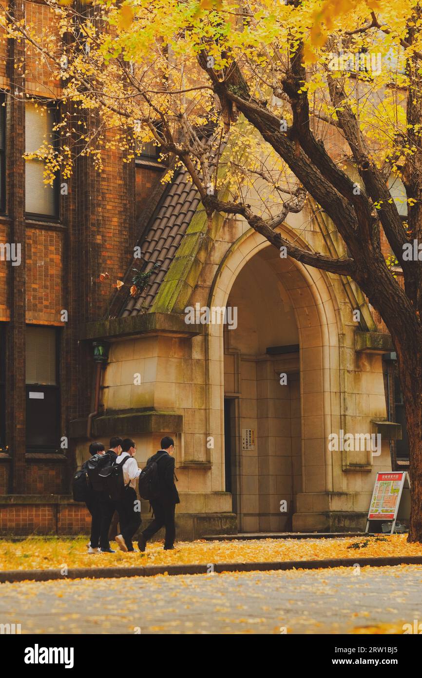 Die Schüler gehen im Herbst zusammen, gelbe Blätter fielen auf die Straße. Aussicht mit einer alten Architektur Stockfoto