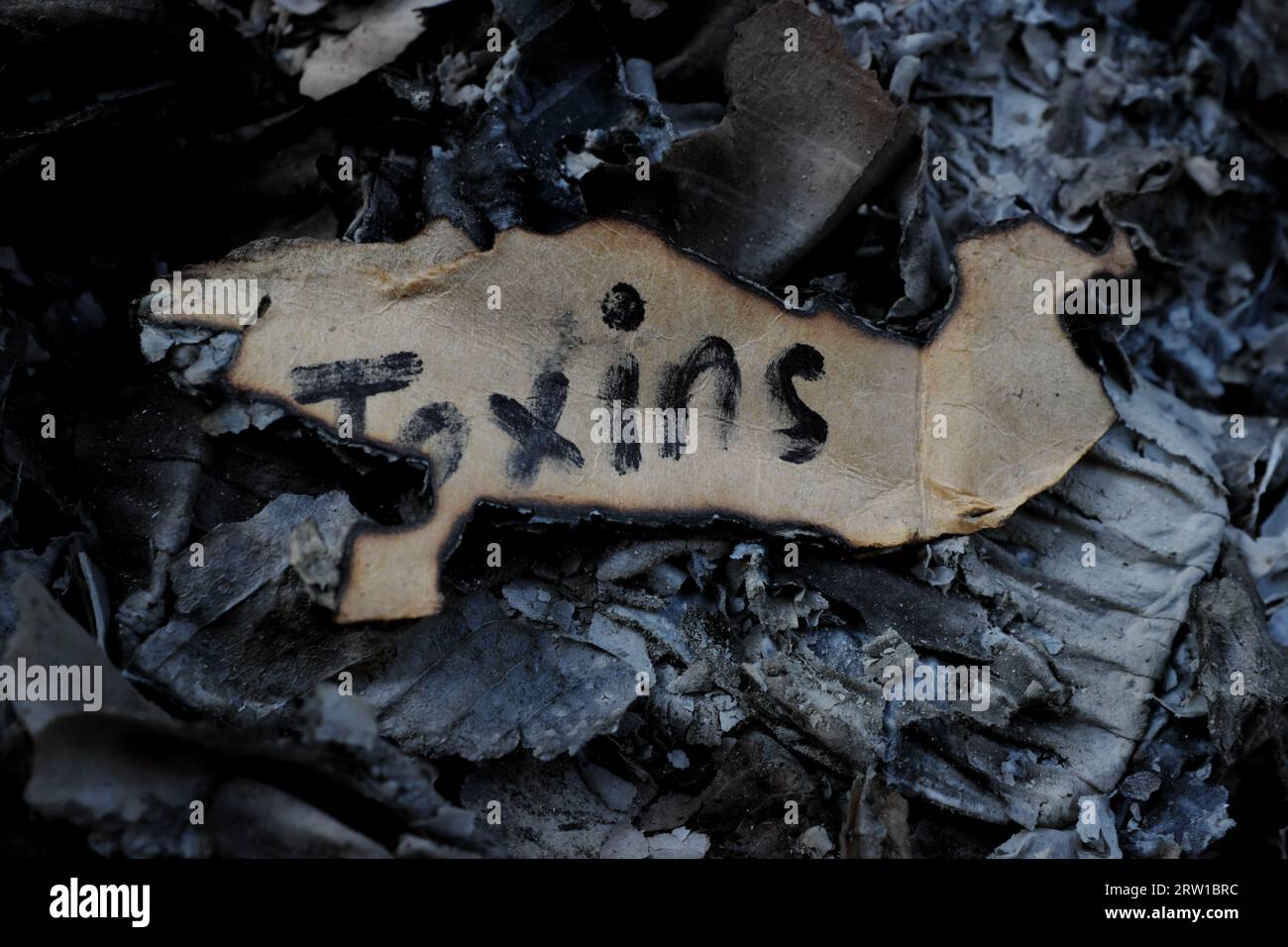 Verbrennung und Zerstörung von Körpergiften oder Detox-Konzept. Brennendes Papier mit geschriebenem Worttoxin. Stockfoto